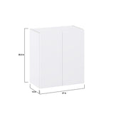 Hugo&Borg Lasalle 27-in W x 30-in H x 14-in D Bright White Slab Wall Fully Assembled Cabinet (Flat Panel Slab Door Style)
