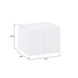 Hugo&Borg Lasalle 27-in W x 20-in H x 24-in D Bright White Slab Wall Fully Assembled Cabinet (Flat Panel Slab Door Style)