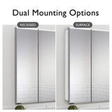 Design House Cyprus 25.1-in x 24.5-in Surface/Recessed Mount Clear Mirrored Medicine Cabinet