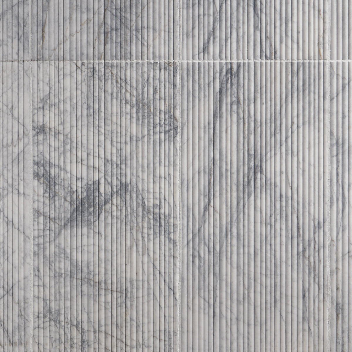 Artmore Tile Ondas White Lion 12-in x 24-in Honed Natural stone Marble Marble look Wall Tile product image