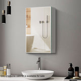Forclover 20-in x 26-in Surface/Recessed Mount Silver Mirrored Soft Close Medicine Cabinet