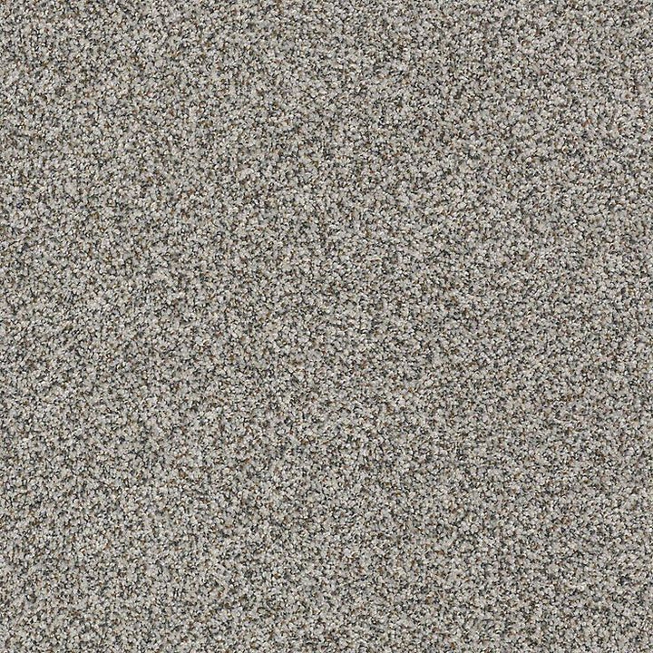 STAINMASTER PetProtect Mineral Bay I 12-ft Harbor Mist Textured Carpet Sample (Interior)