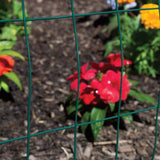 Everbilt 4 ft. x 50 ft. Galvanized Steel Green PVC Coated Welded Wire