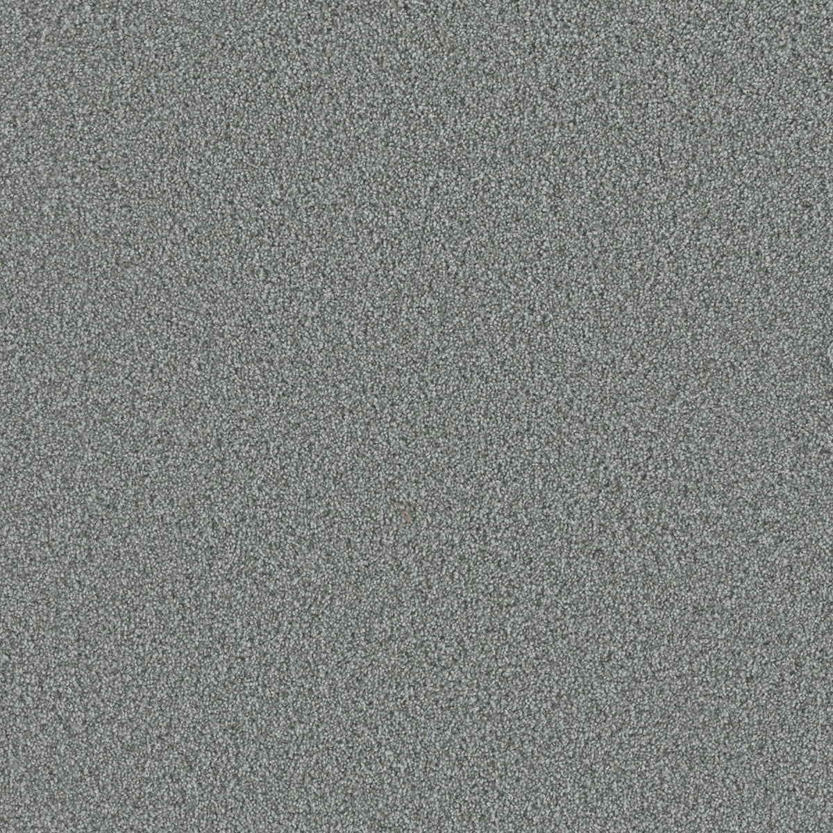 Raging Rapids I Eddy Gray 37-oz sq yard Solution-dyed polyester Textured Indoor Carpet