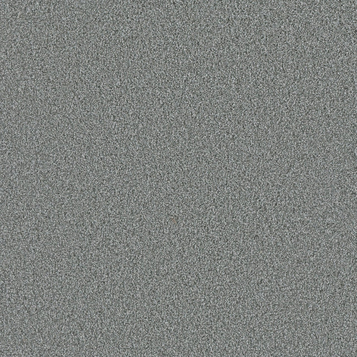 Raging Rapids I Eddy Gray 37-oz sq yard Solution-dyed polyester Textured Indoor Carpet