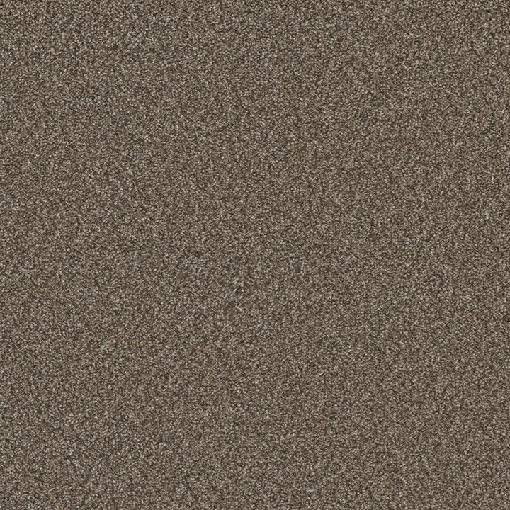 Durango Delight III Basin Creek Brown 54-oz sq yard Solution-dyed polyester Textured Indoor Carpet