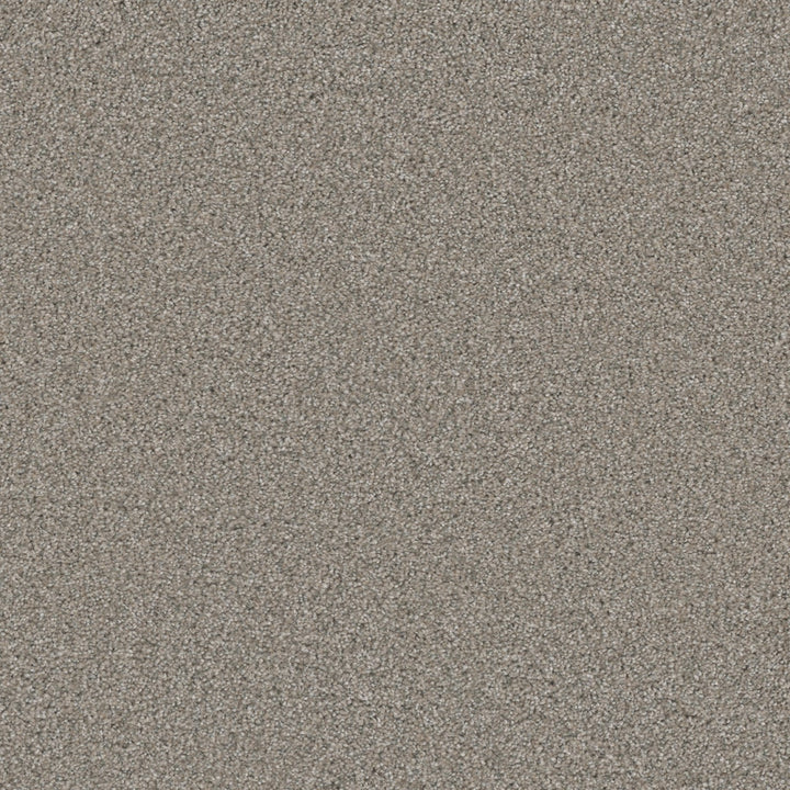 Royal Flush II High Card Tan 70-oz sq yard Solution-dyed polyester Textured Indoor Carpet