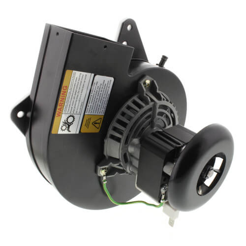 Packard 66005 inducer motor - detail view (Type: Shaded Pole; Voltage: 115V)
