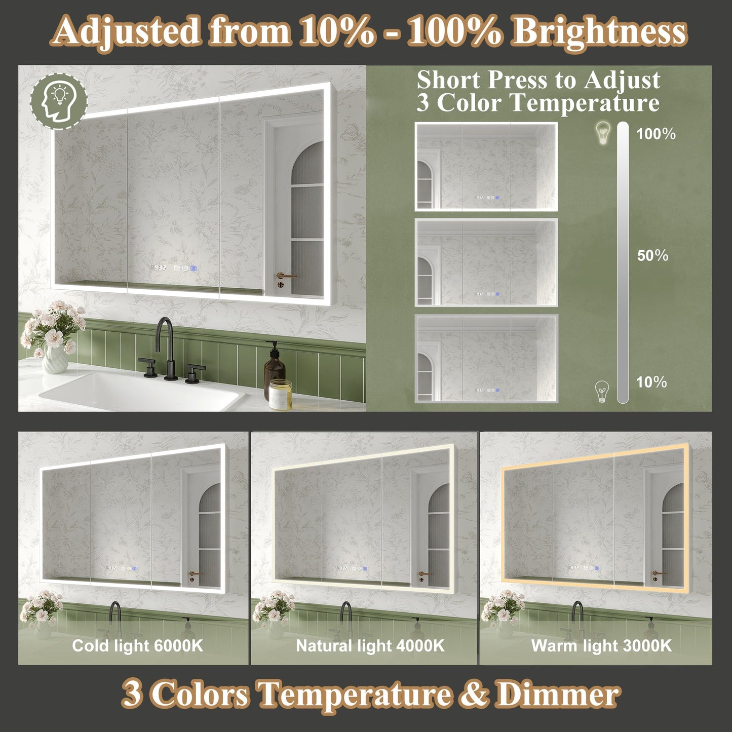 ExBrite Luvia 48-in x 30-in Lighted LED Fog Free Surface/Recessed Mount Silver Mirrored Soft Close Medicine Cabinet with Outlet