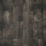 STAINMASTER PetProtect (Sample) Smokey Sandstone Waterproof Wood-Look Glue-Down Sheet Vinyl, 6 in x 9 in