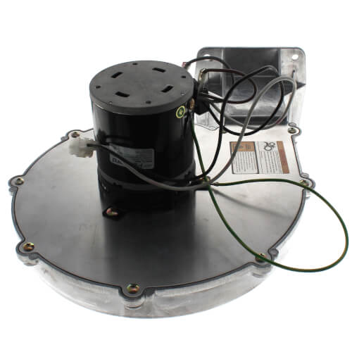 Packard 66056 blower motor - front view (Type: Permanent Split Capacitor; Voltage: 115V)