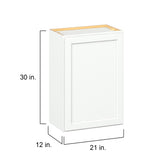 Hugo&Borg PRO Glendale 21-in W x 30-in H x 12-in D Pure White Wall Ready To Assemble Plywood Cabinet (Recessed Panel Shaker Door Style)
