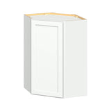 Hugo&Borg PRO Glendale 24-in W x 36-in H x 24-in D Pure White Diagonal Corner Wall Ready To Assemble Plywood Cabinet (Recessed Panel Shaker Style)