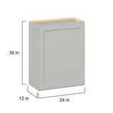 Hugo&Borg PRO Jasper 24-in W x 30-in H x 12-in D Whisper Gray Wall Ready To Assemble Plywood Cabinet (Flat Panel Shaker Door Style)