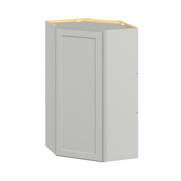 Hugo&Borg PRO Jasper 24-in W x 42-in H x 24-in D Whisper Gray Diagonal Wall Ready To Assemble Plywood Cabinet (Flat Panel Shaker Door Style)