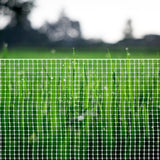 BOEN 50-ft x 4-ft 6-Gauge White Plastic Extruded Mesh Rolled Fencing