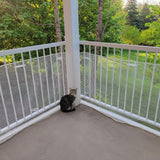 BOEN White Plastic Mesh Rolled Fencing - 15x2 Feet, 7-Gauge, UV-Resistant