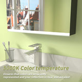 ExBrite Arvona 15-in x 26-in Lighted LED Surface Mount Matte Black Mirrored Medicine Cabinet