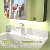 ExBrite Arvona 24-in x 30-in Lighted LED Surface Mount Matte Black Mirrored Medicine Cabinet
