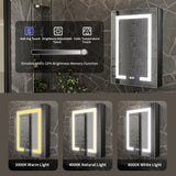 ExBrite 20-in x 30-in Lighted LED Fog Free Surface/Recessed Mount Matte Black Mirrored Soft Close Medicine Cabinet with Outlet
