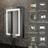 ExBrite 20-in x 30-in Lighted LED Fog Free Surface/Recessed Mount Matte Black Mirrored Soft Close Medicine Cabinet with Outlet