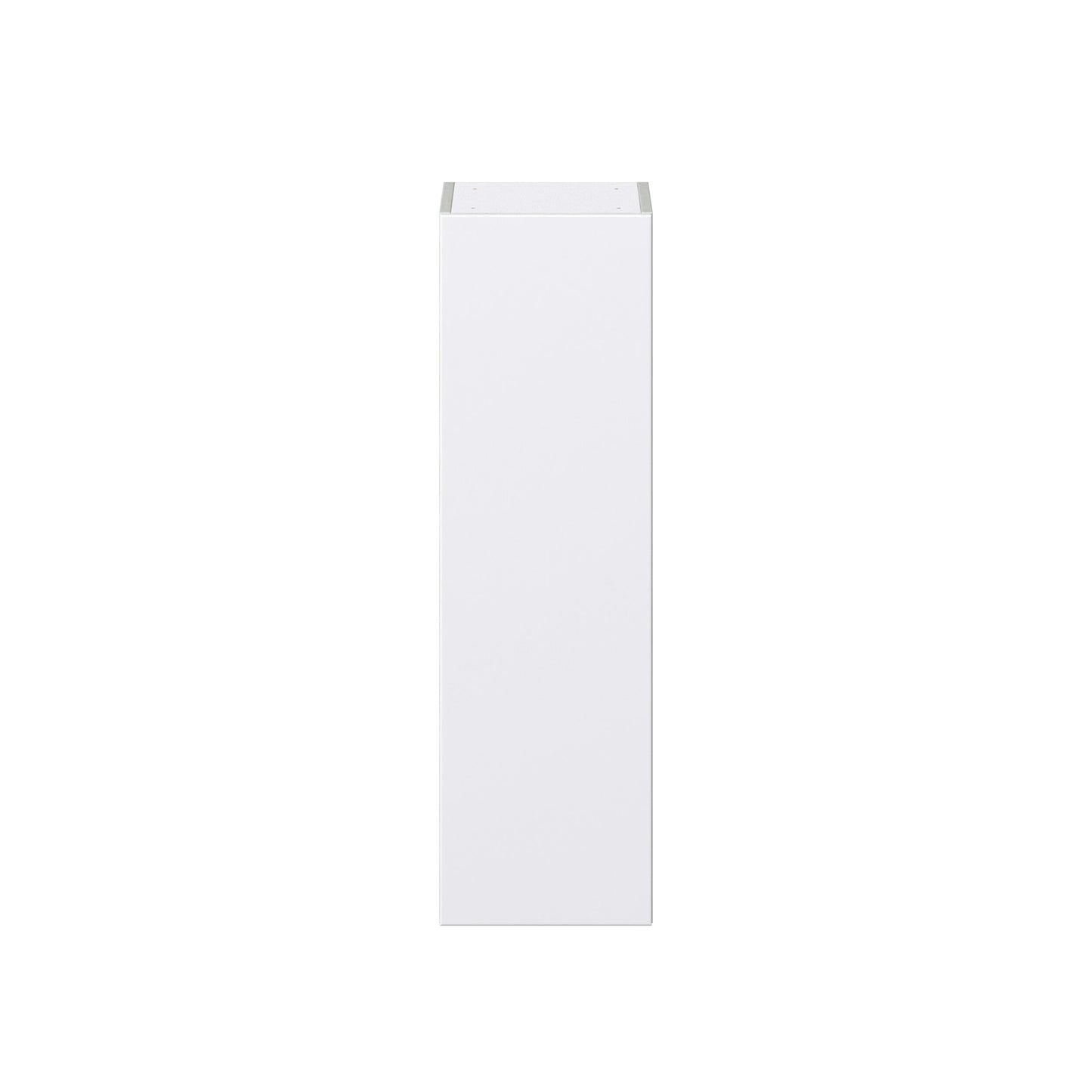 Hugo&Borg Lasalle 12-in W x 40-in H x 14-in D Bright White Slab Wall Fully Assembled Cabinet (Flat Panel Slab Door Style)