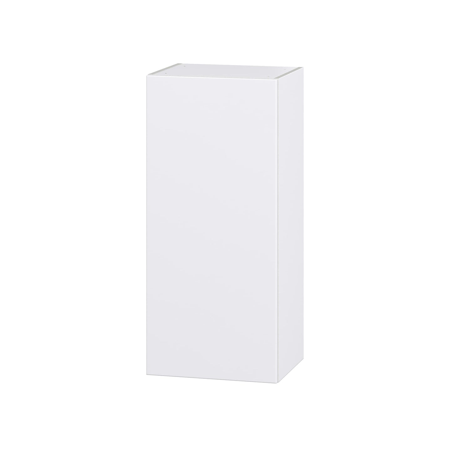 Hugo&Borg Lasalle 18-in W x 40-in H x 14-in D Bright White Slab Wall Fully Assembled Cabinet (Flat Panel Slab Door Style)
