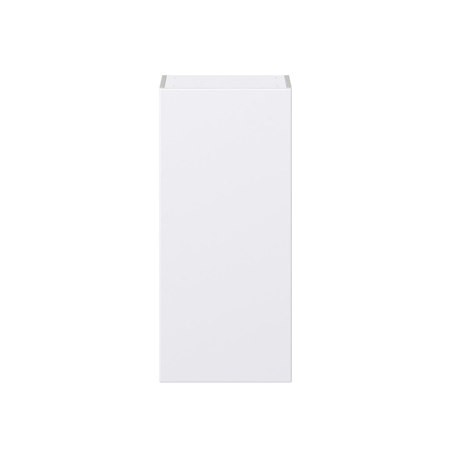 Hugo&Borg Lasalle 18-in W x 40-in H x 14-in D Bright White Slab Wall Fully Assembled Cabinet (Flat Panel Slab Door Style)