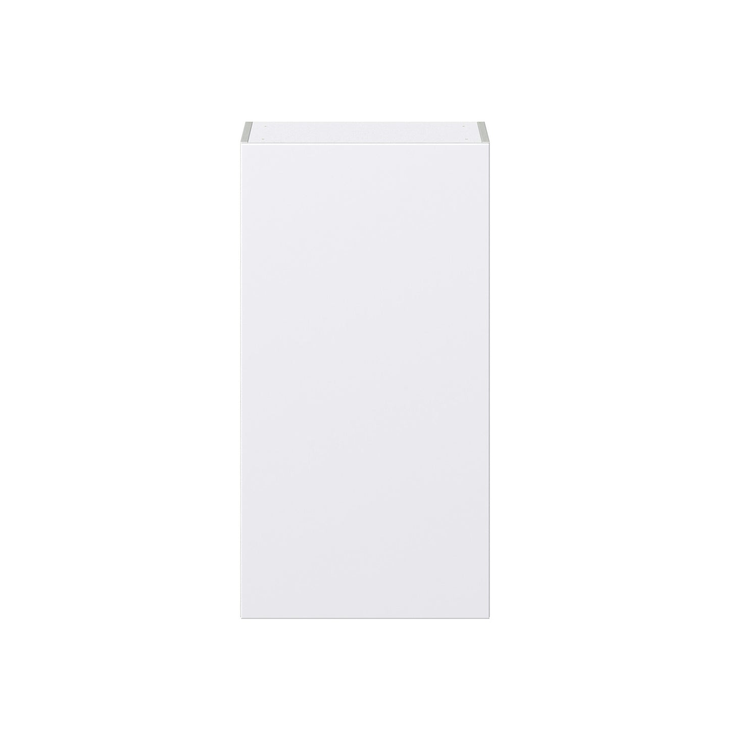 Hugo&Borg Lasalle 21-in W x 40-in H x 14-in D Bright White Slab Wall Fully Assembled Cabinet (Flat Panel Slab Door Style)