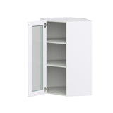 Hugo&Borg Lasalle 24-in W x 40-in H x 14-in D Bright White Slab Wall Fully Assembled Cabinet (Flat Panel Slab Door Style)