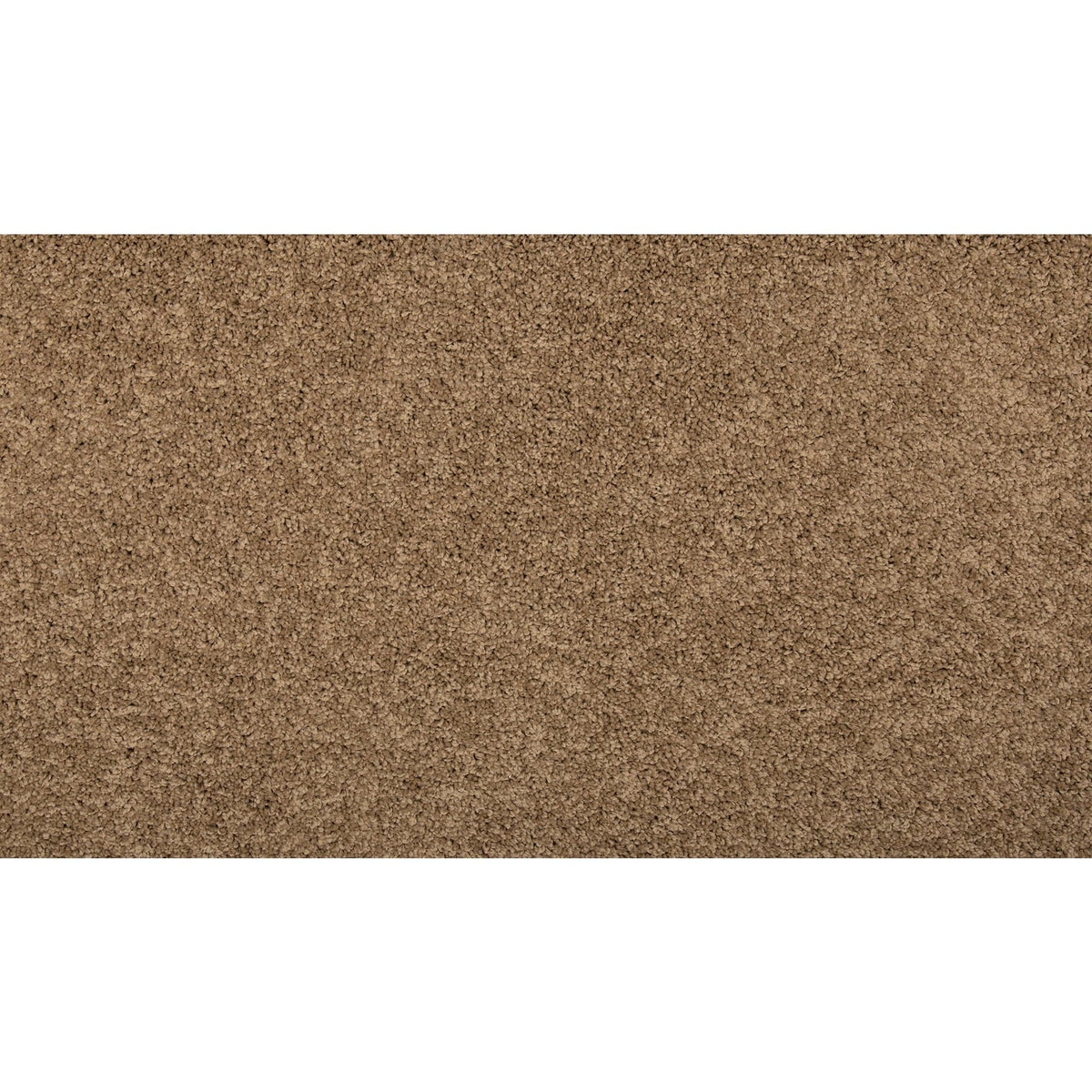 Memorable Touch II Capon Brown 50-oz sq yard Solution-dyed polyester Textured Indoor Carpet