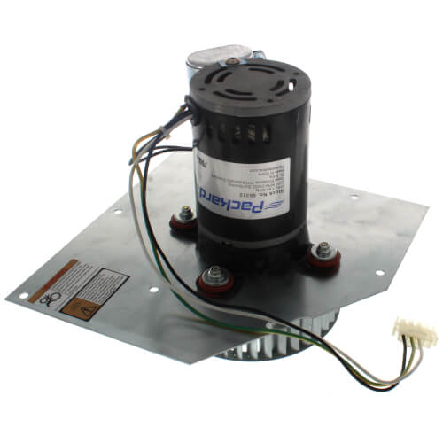 Packard 66312 inducer motor - front view (Voltage: 115V; Horse Power: 1/8)