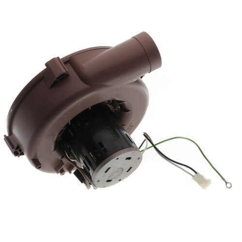 Packard 66404 inducer motor - detail view (Type: Shaded Pole; Voltage: 115V)
