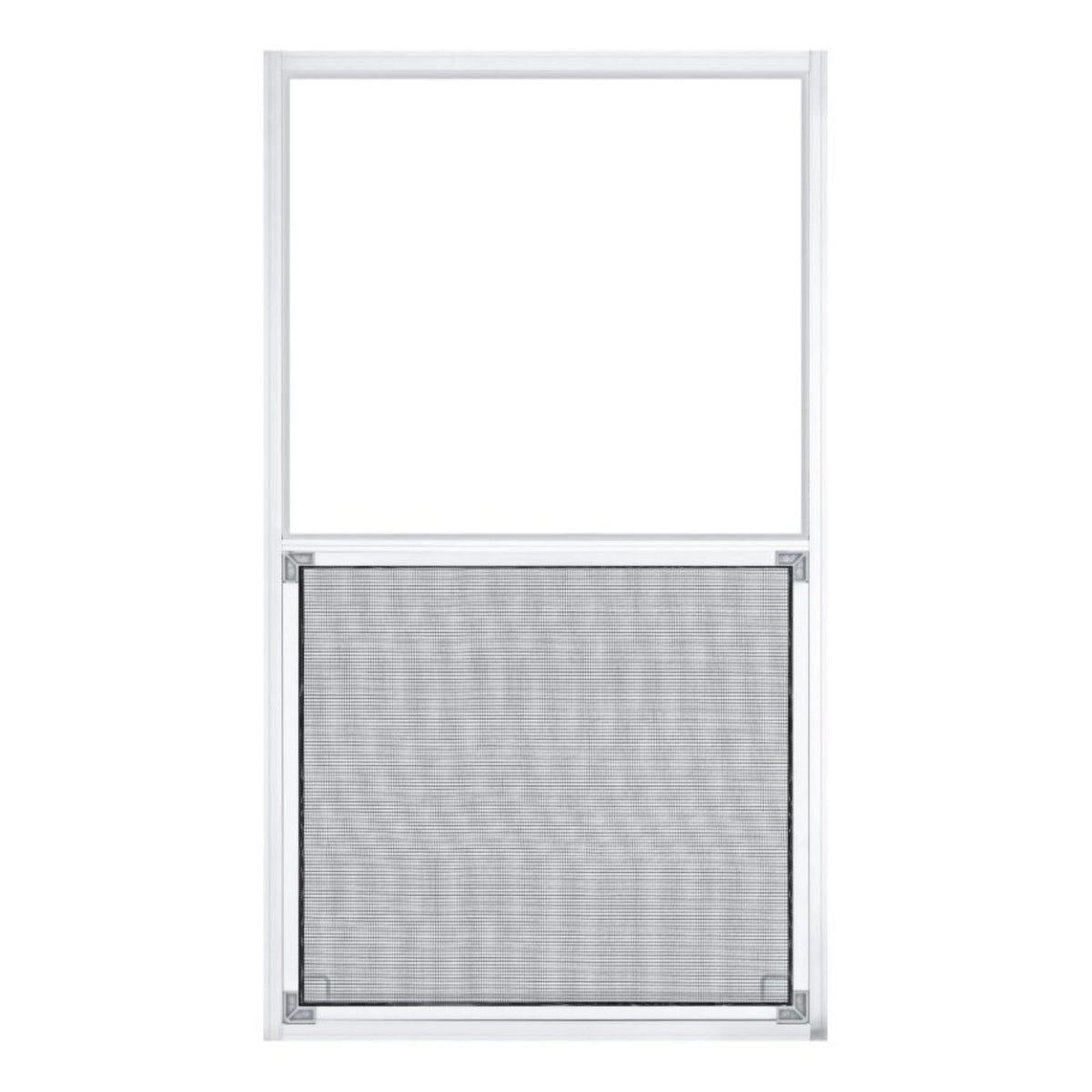 Project Source 40000 Series Replacement 30-in x 54-in x 1-3/4-in Jamb Silver Aluminum Single-Pane Single-Hung Window, Half Screen Included