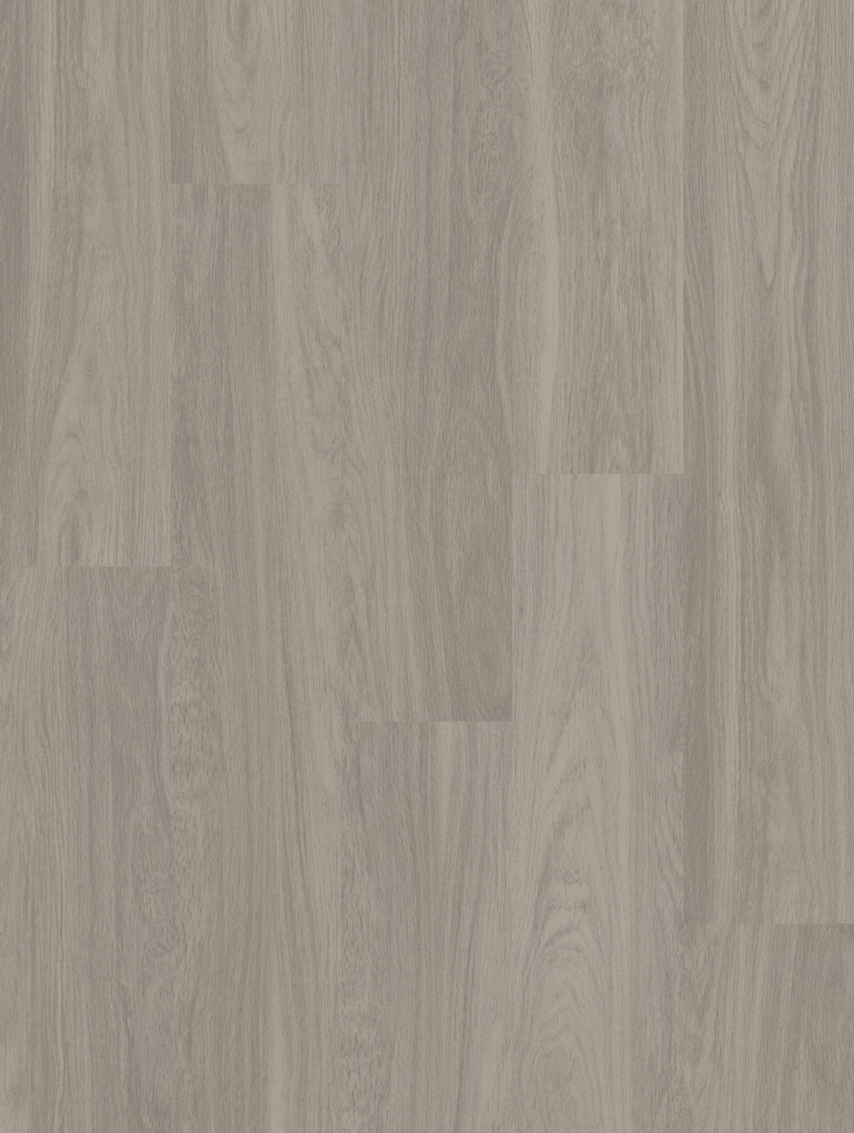 Shaw Boundless 8 Paradise Gray 8-mil x 7-in W x 48-in L Waterproof Glue Down Luxury Vinyl Plank Flooring (34.98-sq ft/ Carton)