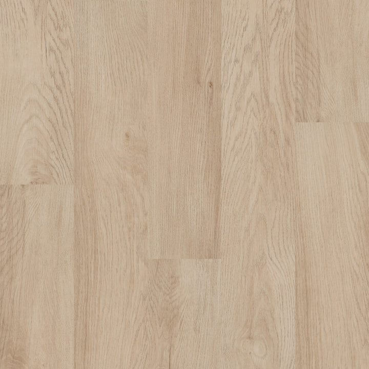 Shaw Boundless 8 Terreno Brown 8-mil x 7-in W x 48-in L Waterproof Glue Down Luxury Vinyl Plank Flooring (34.98-sq ft/ Carton)