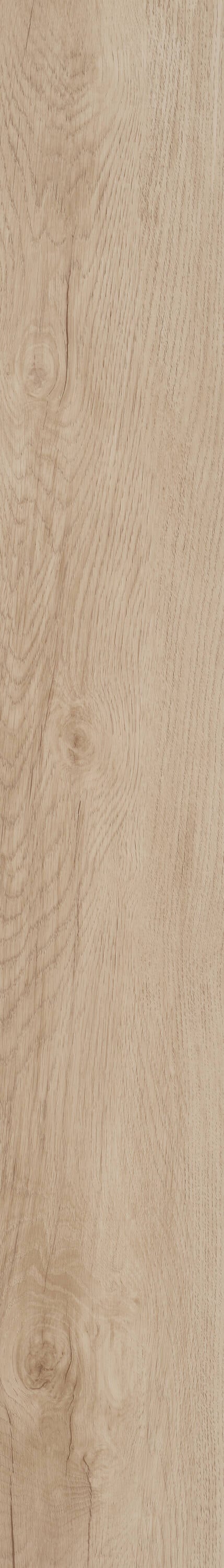 Shaw Boundless 8 Terreno Brown 8-mil x 7-in W x 48-in L Waterproof Glue Down Luxury Vinyl Plank Flooring (34.98-sq ft/ Carton)