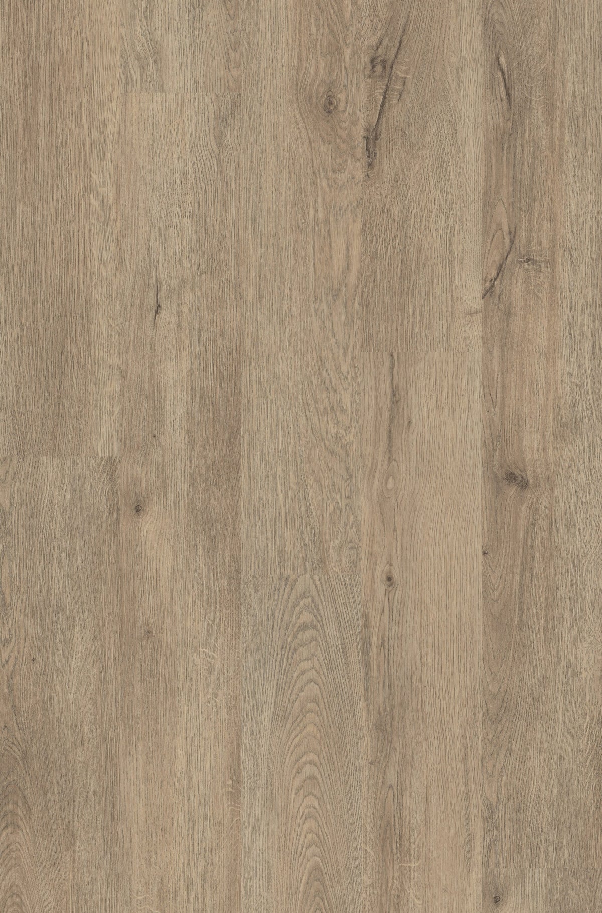 Shaw Perennial Dublin Brown 6-mil x 6-in W x 48-in L Waterproof Glue Down Luxury Vinyl Plank Flooring (53.93-sq ft/ Carton)