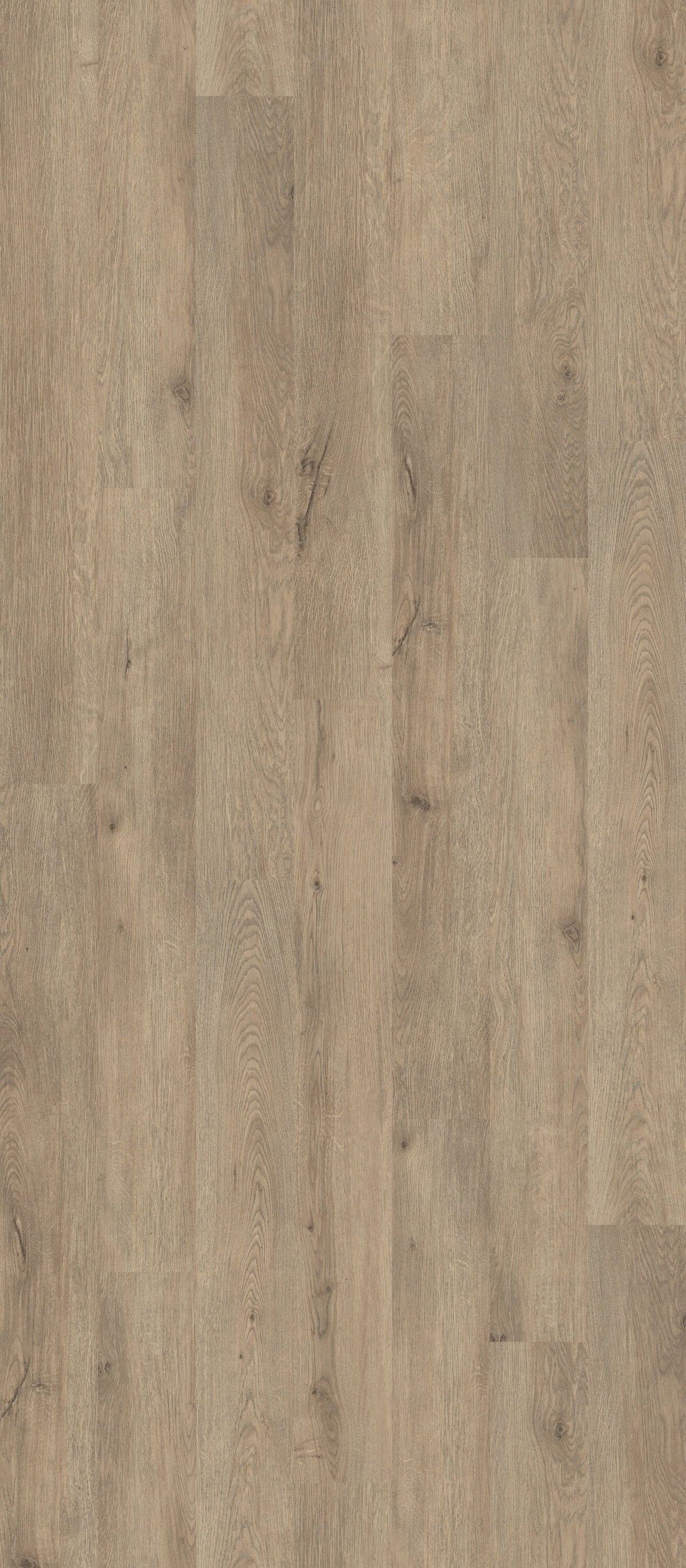 Shaw Perennial Dublin Brown 6-mil x 6-in W x 48-in L Waterproof Glue Down Luxury Vinyl Plank Flooring (53.93-sq ft/ Carton)