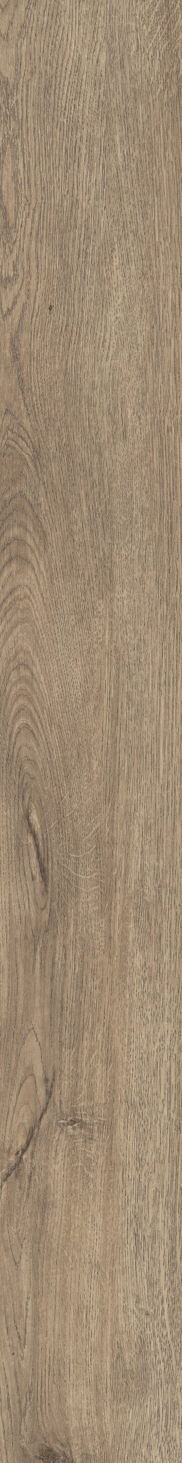 Shaw Perennial Dublin Brown 6-mil x 6-in W x 48-in L Waterproof Glue Down Luxury Vinyl Plank Flooring (53.93-sq ft/ Carton)