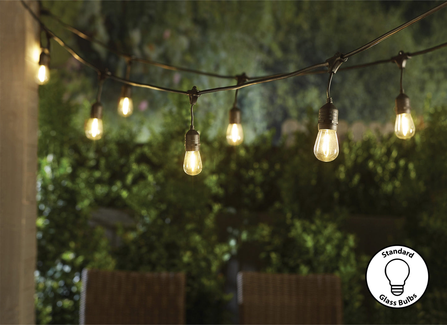 Portfolio 24-ft 12-Light Plug-In LED Edison Bulbs String Lights (Black)