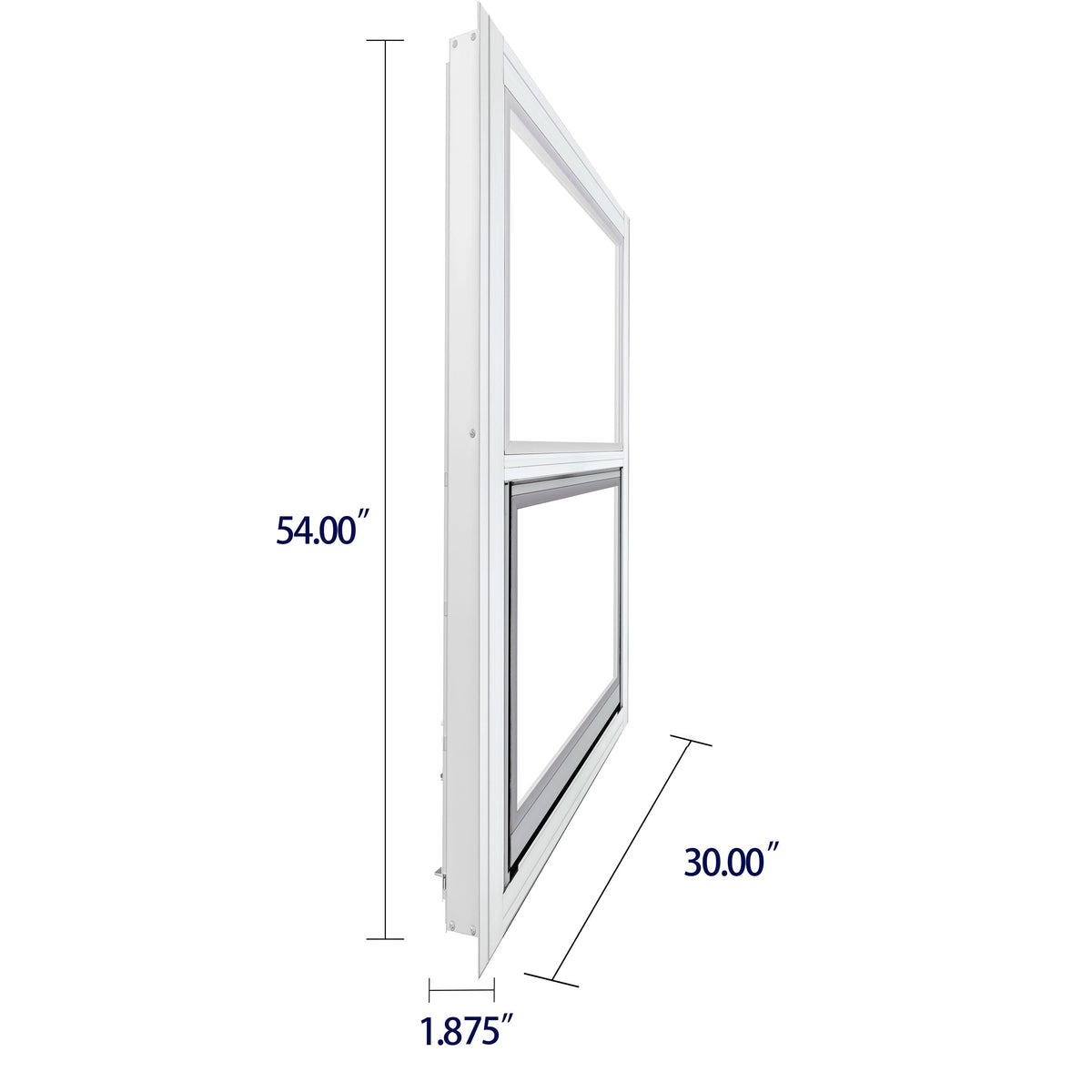 Project Source 40000 Series Replacement 30-in x 54-in x 1-3/4-in Jamb Silver Aluminum Single-Pane Single-Hung Window, Half Screen Included