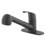 Project Source Matte Black Utility Faucet with Pulldown Sprayer