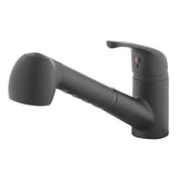 Project Source Matte Black Utility Faucet with Pulldown Sprayer