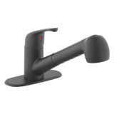 Project Source Matte Black Utility Faucet with Pulldown Sprayer