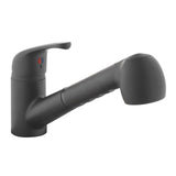 Project Source Matte Black Utility Faucet with Pulldown Sprayer