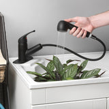 Project Source Matte Black Utility Faucet with Pulldown Sprayer