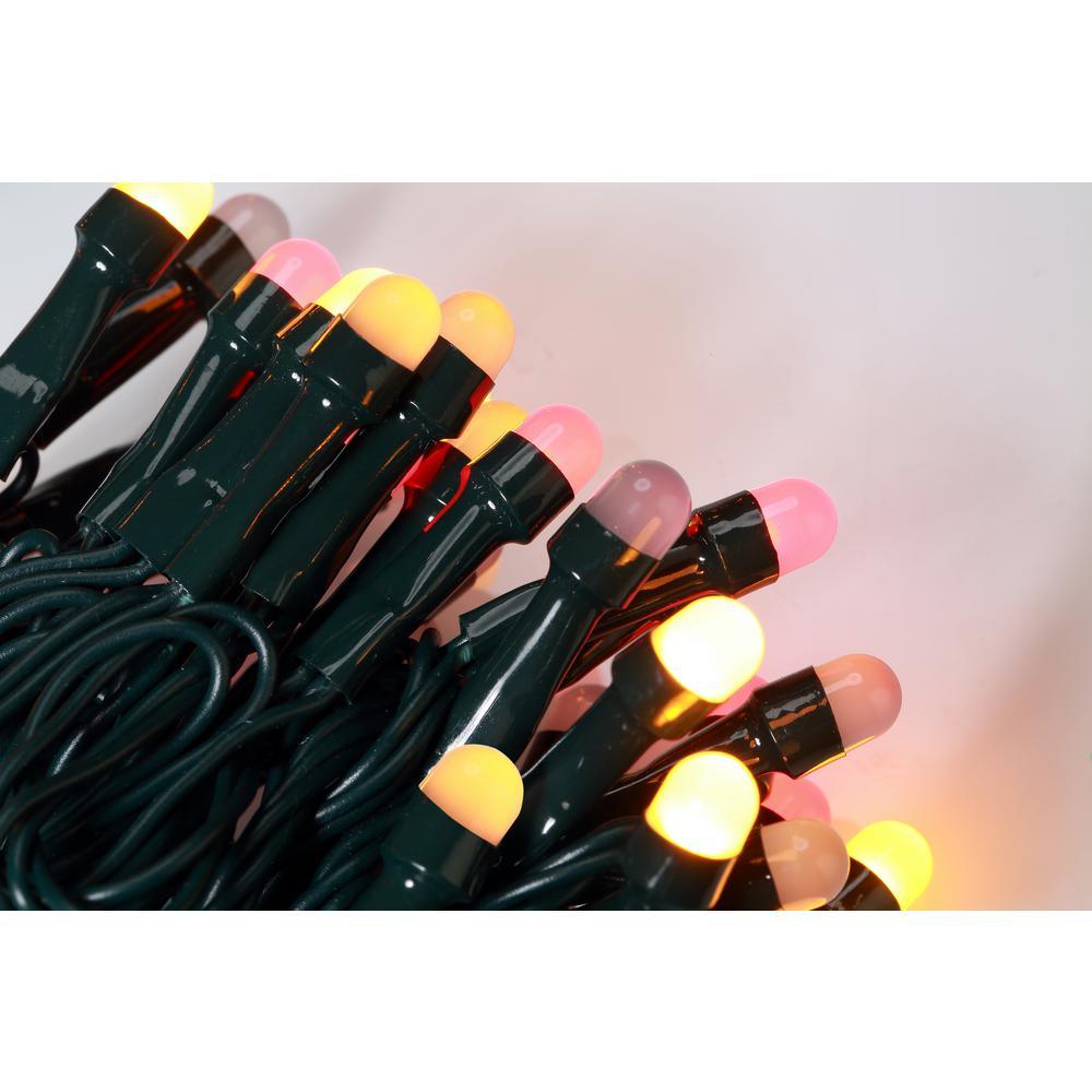 Bundle - 200 Light 8 mm Mini Globe Multi-Color LED String Light with Wireless Smart Control + 200 Light Add-on - Super Arbor