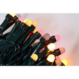 200 Light 8 mm Mini Globe Multi Color LED Lights with Wireless Smart Control - Super Arbor
