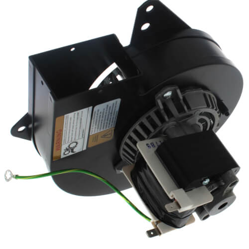 Packard 66501 inducer motor - detail view (Voltage: 115V; Horse Power: 1/30)